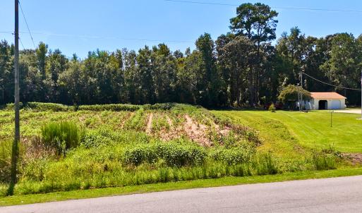 Photo #21 of Off Lagrange Rd, La Grange, NC 86.7 acres