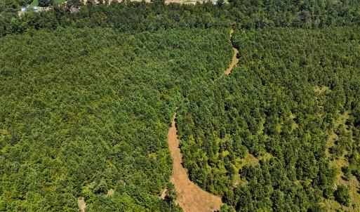 Photo #22 of Off Lagrange Rd, La Grange, NC 86.7 acres