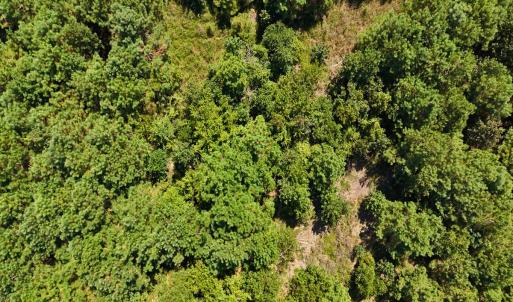 Photo #23 of Off Lagrange Rd, La Grange, NC 86.7 acres