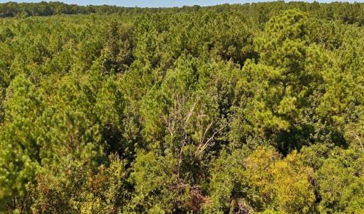 Photo #26 of Off Lagrange Rd, La Grange, NC 86.7 acres
