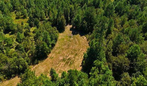 Photo #28 of Off Lagrange Rd, La Grange, NC 86.7 acres
