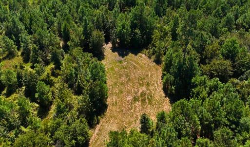 Photo #29 of Off Lagrange Rd, La Grange, NC 86.7 acres