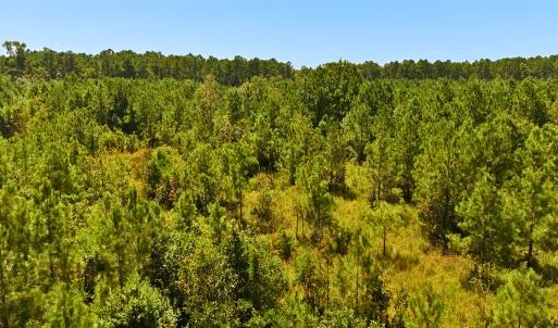 Photo #30 of Off Lagrange Rd, La Grange, NC 86.7 acres