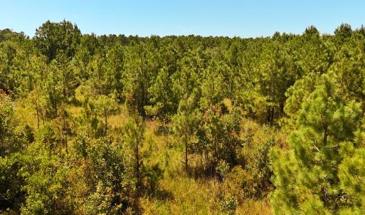 Photo #32 of Off Lagrange Rd, La Grange, NC 86.7 acres