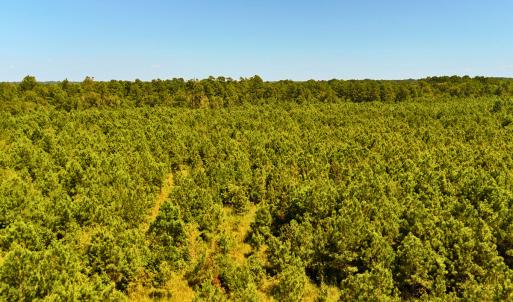 Photo #33 of Off Lagrange Rd, La Grange, NC 86.7 acres