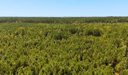 Photo #34 of Off Lagrange Rd, La Grange, NC 86.7 acres