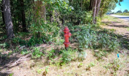 Photo #8 of 6724 Wimberly Rd., Willow Spring, NC 3.8 acres