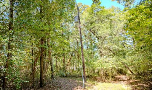 Photo #11 of 6724 Wimberly Rd., Willow Spring, NC 3.8 acres