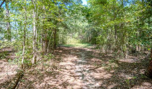 Photo #13 of 6724 Wimberly Rd., Willow Spring, NC 3.8 acres