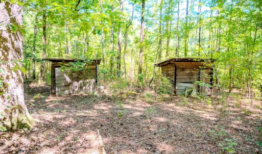 Photo #15 of 6724 Wimberly Rd., Willow Spring, NC 3.8 acres