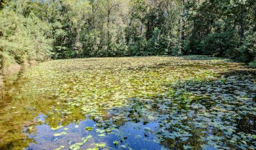 Photo #23 of 6724 Wimberly Rd., Willow Spring, NC 3.8 acres
