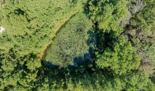 Photo #24 of 6724 Wimberly Rd., Willow Spring, NC 3.8 acres