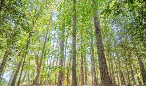 Photo #28 of 6724 Wimberly Rd., Willow Spring, NC 3.8 acres