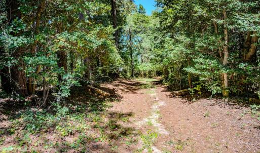Photo #37 of 6724 Wimberly Rd., Willow Spring, NC 3.8 acres