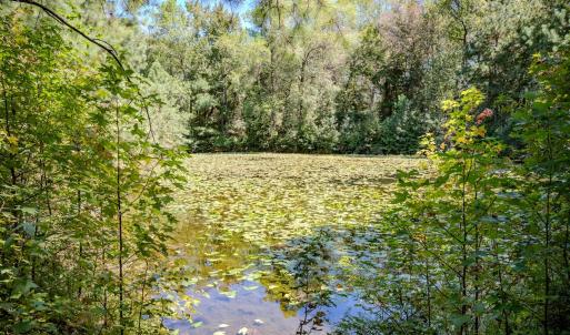 Photo #38 of 6724 Wimberly Rd., Willow Spring, NC 3.8 acres