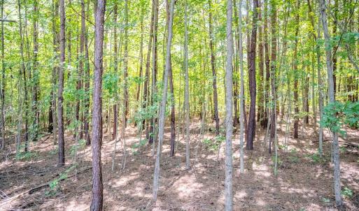 Photo #39 of 6724 Wimberly Rd., Willow Spring, NC 3.8 acres