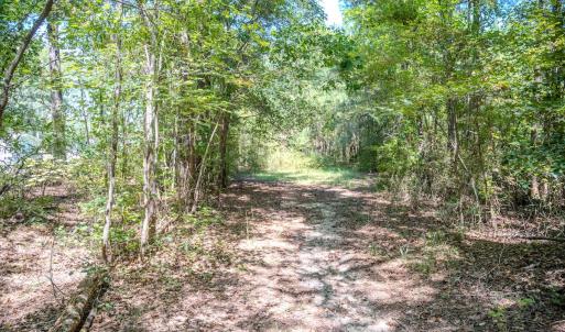 Photo #40 of 6724 Wimberly Rd., Willow Spring, NC 3.8 acres