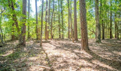 Photo #41 of 6724 Wimberly Rd., Willow Spring, NC 3.8 acres