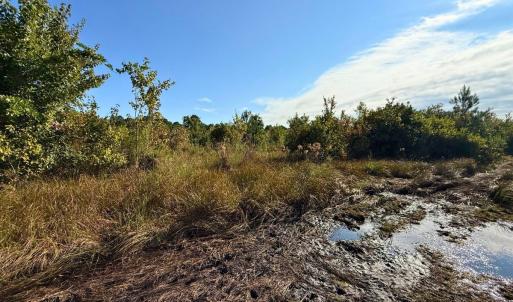 Photo #23 of Off Institute Road, Kinston, NC 35.0 acres