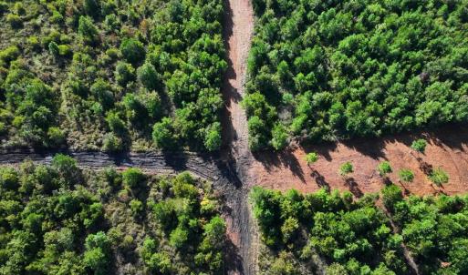 Photo #26 of Off Institute Road, Kinston, NC 35.0 acres