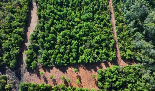 Photo #27 of Off Institute Road, Kinston, NC 35.0 acres