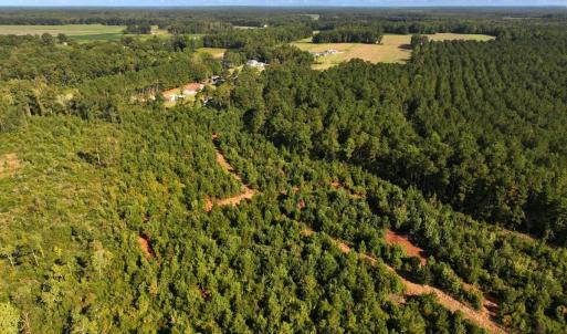 Photo #3 of Off Institute Road, Kinston, NC 35.0 acres