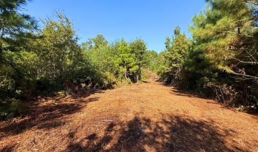 Photo #32 of Off Institute Road, Kinston, NC 35.0 acres