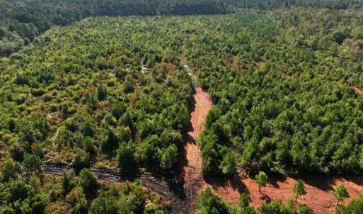 Photo #34 of Off Institute Road, Kinston, NC 35.0 acres