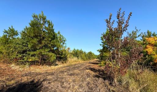 Photo #7 of Off Institute Road, Kinston, NC 35.0 acres