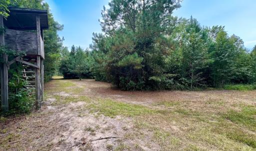 Photo #12 of Off  White Oak River Rd, Maysville, NC 41.0 acres