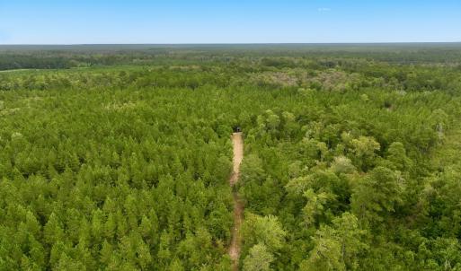 Photo #13 of Off  White Oak River Rd, Maysville, NC 41.0 acres