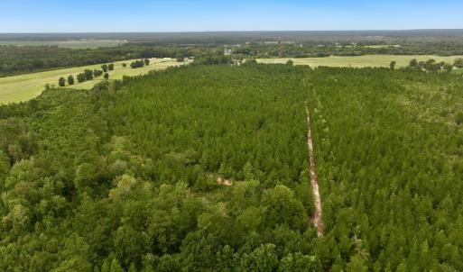 Photo #14 of Off  White Oak River Rd, Maysville, NC 41.0 acres