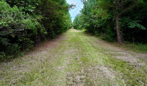Photo #16 of Off  White Oak River Rd, Maysville, NC 41.0 acres