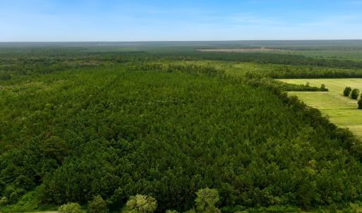 Photo #1 of Off  White Oak River Rd, Maysville, NC 41.0 acres