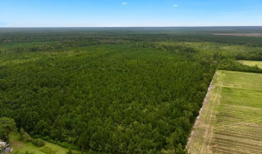 Photo #2 of Off  White Oak River Rd, Maysville, NC 41.0 acres