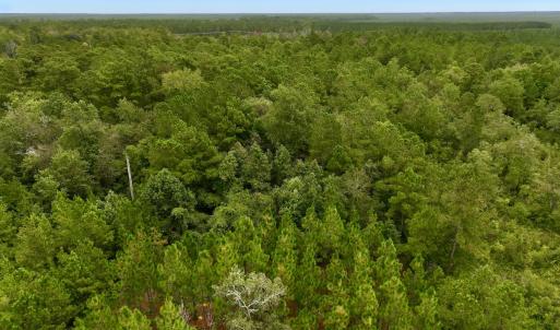 Photo #20 of Off  White Oak River Rd, Maysville, NC 41.0 acres