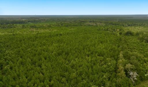Photo #4 of Off  White Oak River Rd, Maysville, NC 41.0 acres