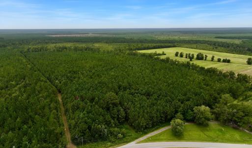 Photo #21 of Off  White Oak River Rd, Maysville, NC 41.0 acres