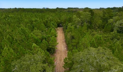 Photo #25 of Off  White Oak River Rd, Maysville, NC 41.0 acres