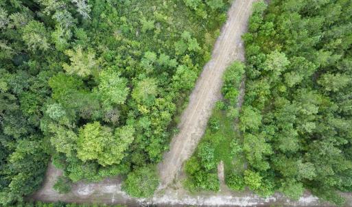 Photo #33 of Off  White Oak River Rd, Maysville, NC 41.0 acres