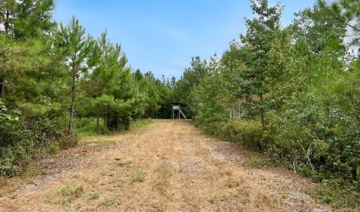 Photo #39 of Off  White Oak River Rd, Maysville, NC 41.0 acres