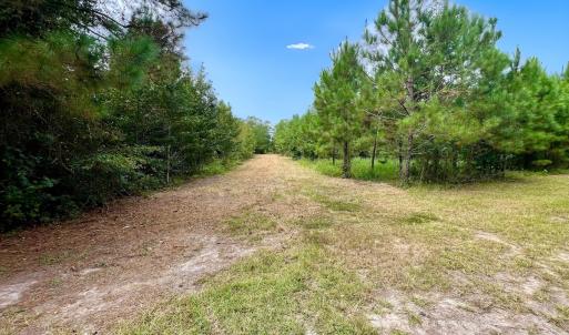 Photo #40 of Off  White Oak River Rd, Maysville, NC 41.0 acres