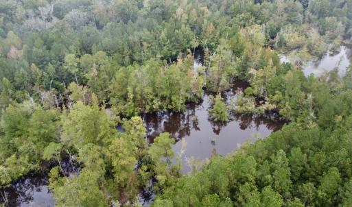 Photo #9 of Off Bunnlevel Erwin Rd, Bunnlevel, NC 41.4 acres