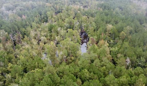 Photo #10 of Off Bunnlevel Erwin Rd, Bunnlevel, NC 41.4 acres