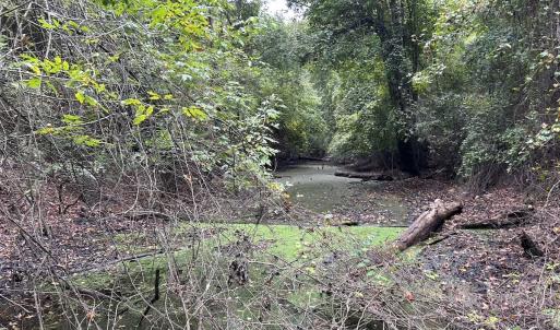 Photo #13 of Off Bunnlevel Erwin Rd, Bunnlevel, NC 41.4 acres