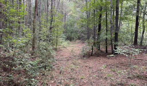 Photo #21 of Off Bunnlevel Erwin Rd, Bunnlevel, NC 41.4 acres
