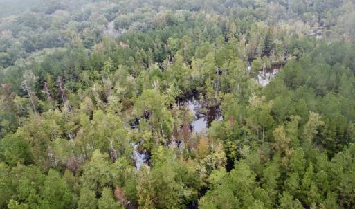 Photo #4 of Off Bunnlevel Erwin Rd, Bunnlevel, NC 41.4 acres
