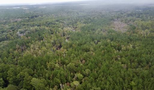 Photo #6 of Off Bunnlevel Erwin Rd, Bunnlevel, NC 41.4 acres