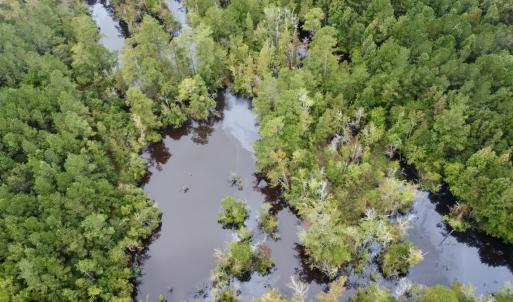 Photo #8 of Off Bunnlevel Erwin Rd, Bunnlevel, NC 41.4 acres