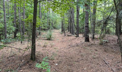 Photo #23 of Off Bunnlevel Erwin Rd, Bunnlevel, NC 41.4 acres